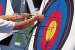 Workshops, Trainingsangebote